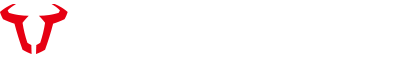 SW-MOTECH